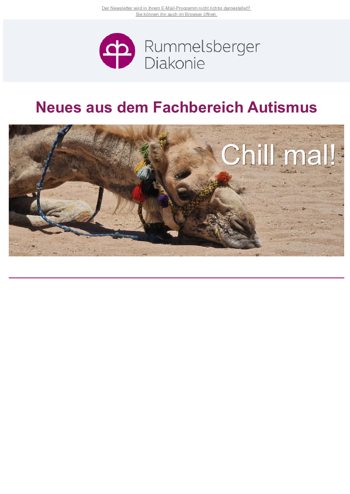 Sommernewsletter 2 2026