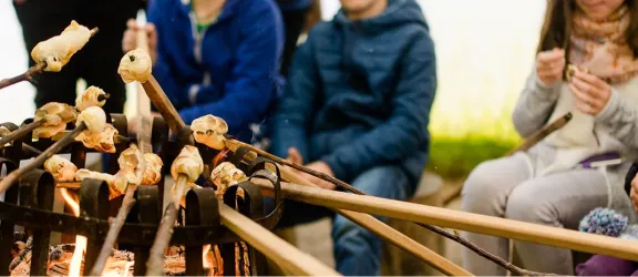 Header_Erlebnisbauernhof5