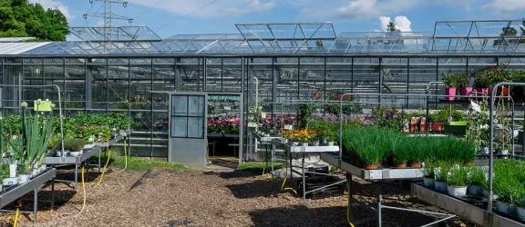 Gewächshäuser und Außengelände mit Pflanzen der Gärtnerei Rummelsberg