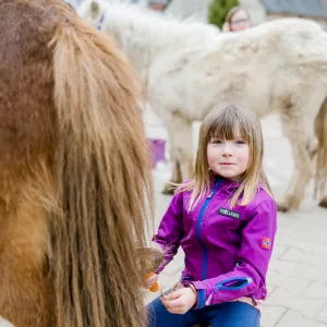 Mädchen mit Pferd