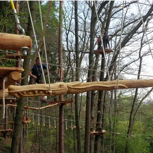 Blick in den Waldseilgarten