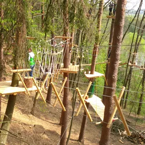 Blick in den Waldseilgarten