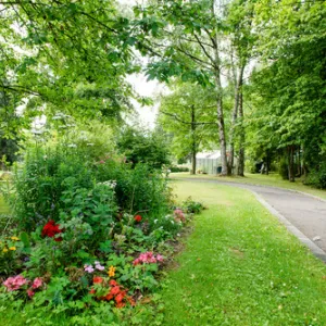 Park mit einem Weg