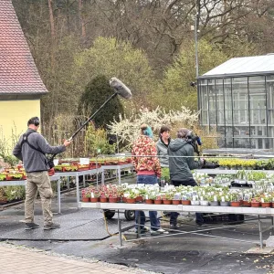 Dreharbeiten in der Gärtnerei
