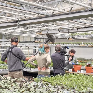 Dreharbeiten in der Gärtnerei