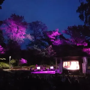 Eindrücke der vergangenen Veranstaltungen