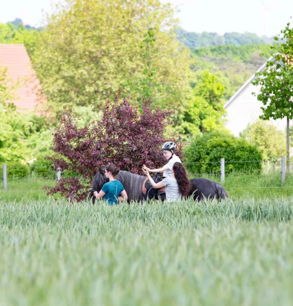 Junge auf Pferd