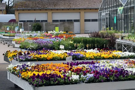 Rummelsberger Gärtnerei