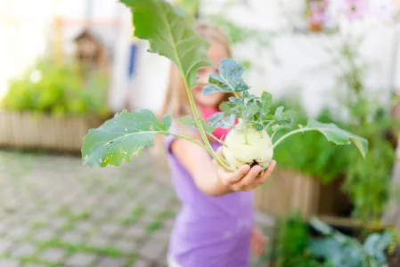 Gesund und aktiv