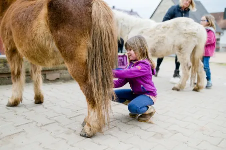 Mädchen putzt Pferd