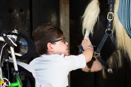 Junge mit Pferd