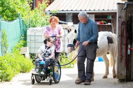 Kind im Rollstuhl führt ein Pferd an der Leine