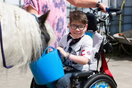Kind im Rollstuhl füttert Pferd