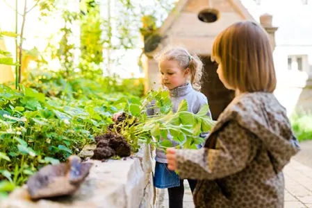 Krippenkinder erkunden das Hochbeet