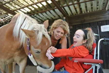 Frau im Rollstuhl streichelt ein Pferd