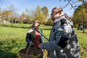 Zwei Menschen ernten Äpfel auf der inklusiven Streuobstwiese in Hersbruck