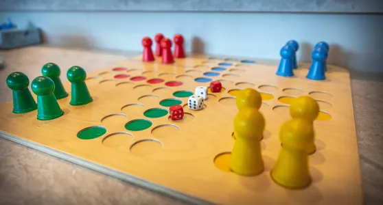 Mensch Ärgere dich nicht Spiel