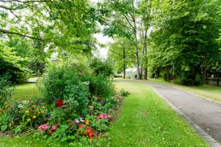 Park mit einem Weg