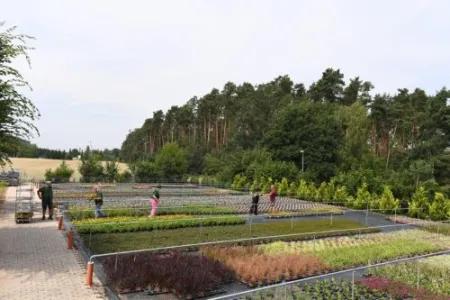 Auhof Gärtnerei Freiland
