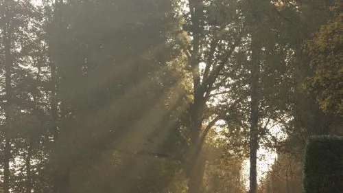 Waldfriedhof neben der Philippuskirche