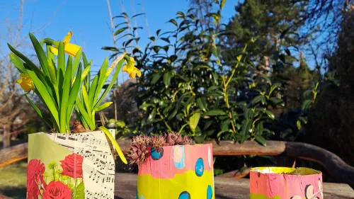 Aus alt mach neu: Aus alten Tetrapaks werden beim Upcycling bunte Pflanztöpfe. Entstanden sind sie auf der inklusiven Streuobstwiese am Campus Haus Weiher in Hersbruck.