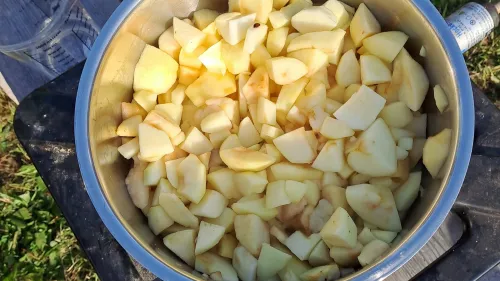 Klein geschnittene Äpfel im Topf.
