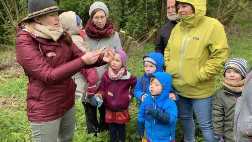 Eine Gruppe von Menschen lernt Wichtiges über Wildkräuter.