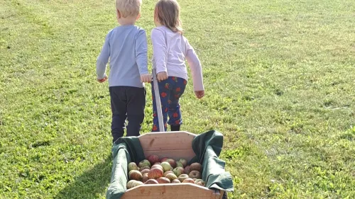 Am 26. September 2026 feiert die Rummelsberger Diakonie ein Erntedankfest auf der inklusiven Streuobstwiese.