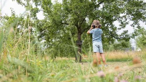 Der Wiese lauschen: Zwölf Hör-Stationen machen die inklusive Streuobstwiese auf eine ganz neue Art erlebbar. 
